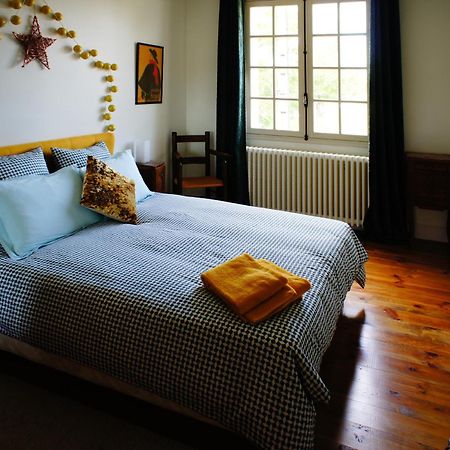 La Maison Verte Albi Esterno foto